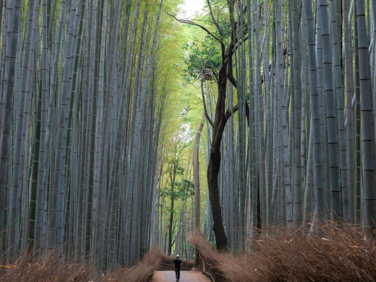 Stay Marutamachi Kyoto Exterior photo
