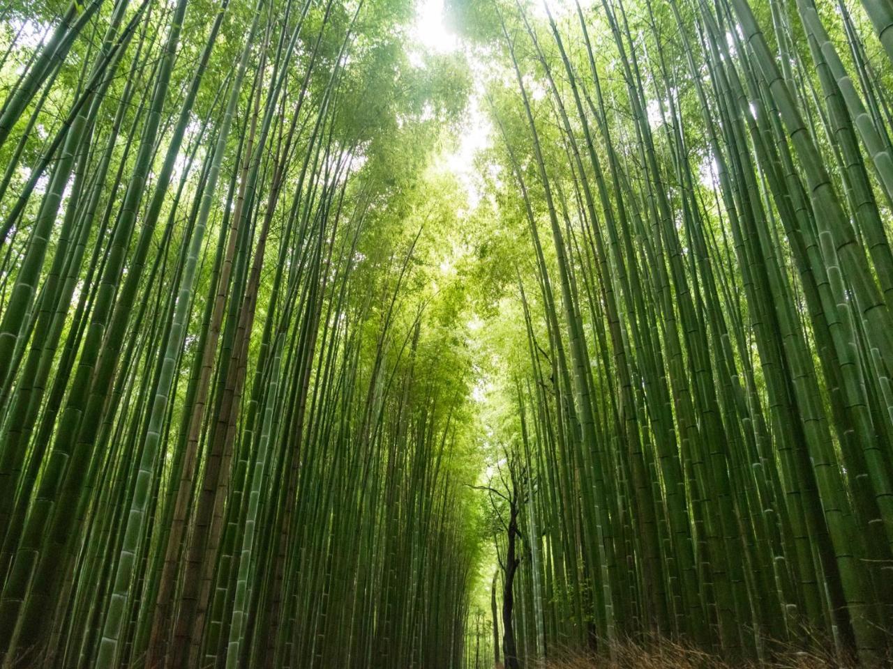 Stay Marutamachi Kyoto Exterior photo